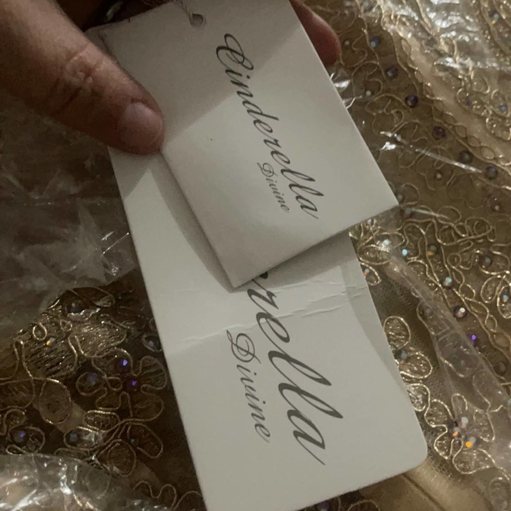 Cinderella Divine - KV1034 Beaded Lace Sweetheart Ballgown NWT size 4 Gold/Gold - Picture 7 of 15